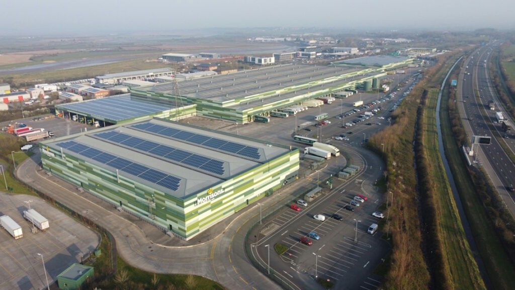 Matcha for food factories, companies, and producers