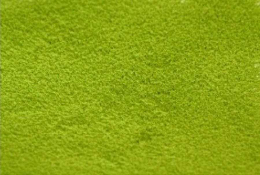 Matcha Premium Grade (Wholeslae)